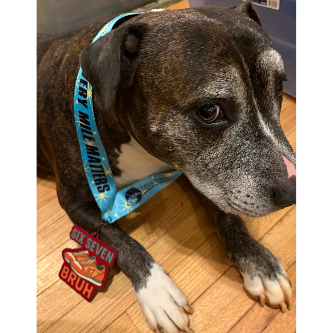 2026 Six Seven Bruh Virtual Race Benefitting Stand Up for Kids