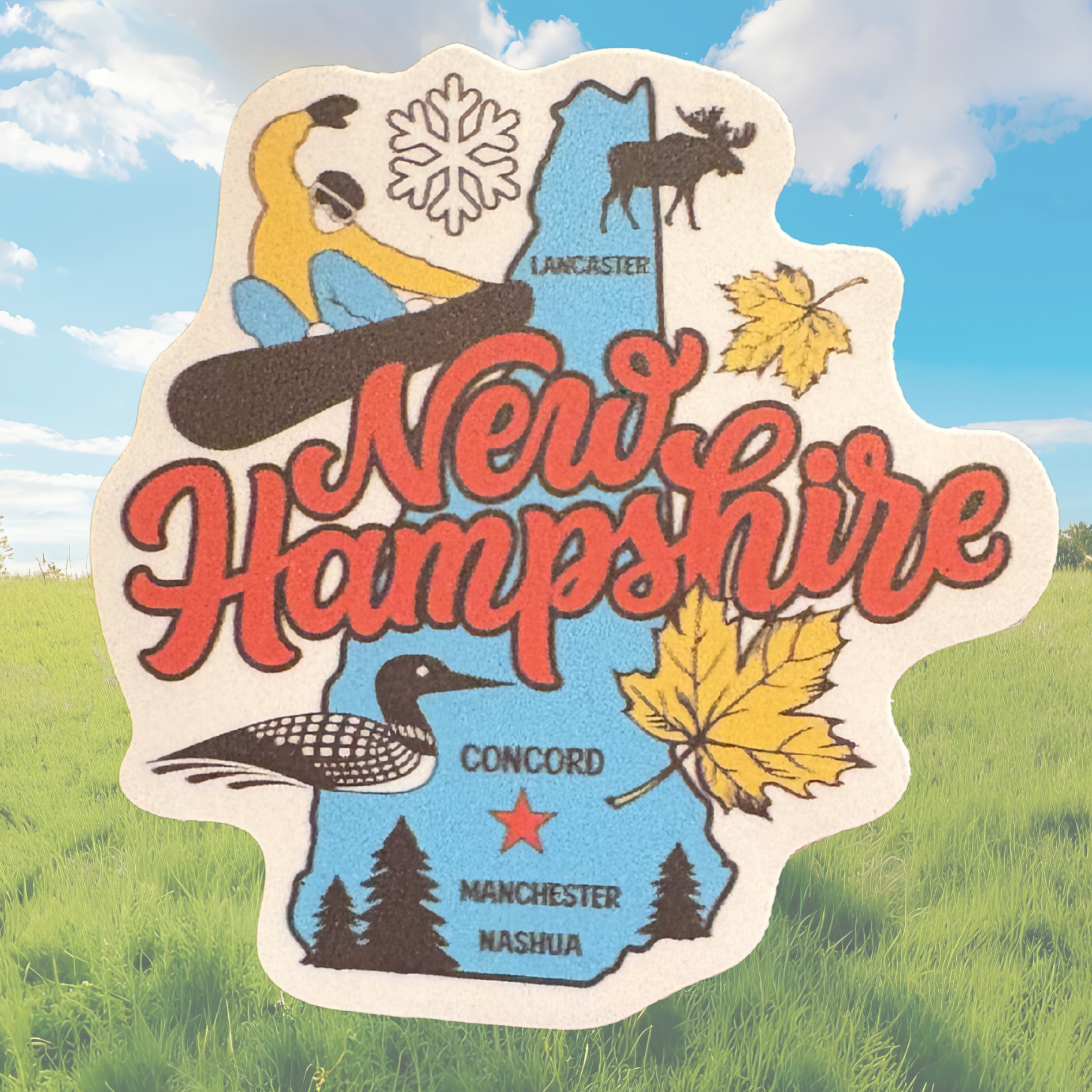 Medal sticker featuring New Hampshire state design from Virtual Rune Event, suitable for awards or collectibles.