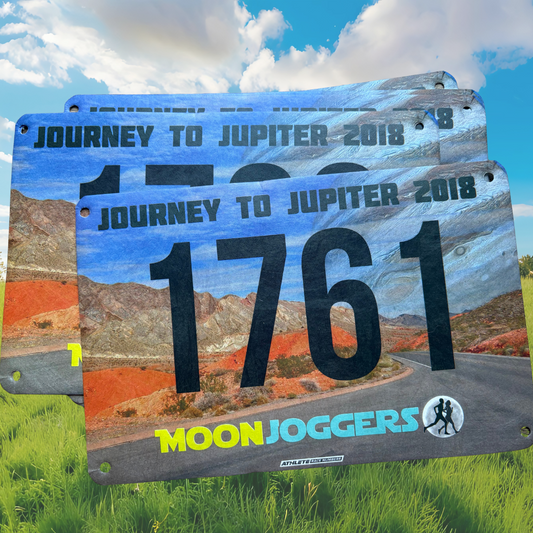 BIBS - Pack of TEN - Journey to Jupiter 2018 - virtualrunevent