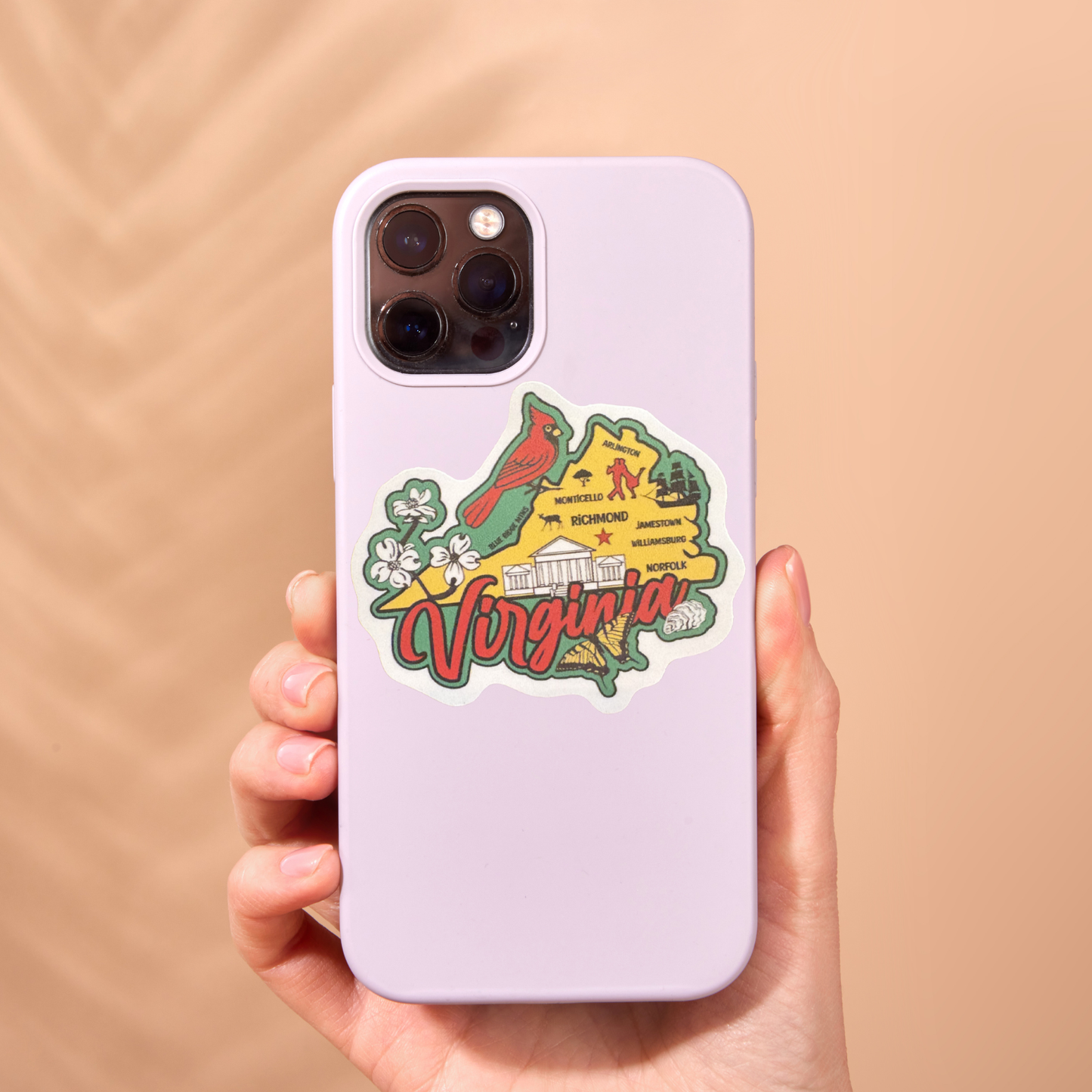 Virginia medal sticker featuring the virtualrunevent logo, with an oval shape and vibrant design for collectibles or awards.